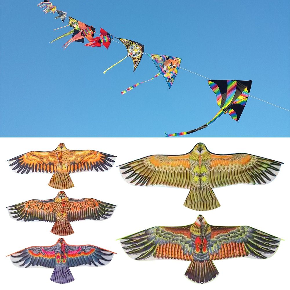 Kids Outdoor Garden Toys - Flat Eagle Kite 1.1m Flying Bird