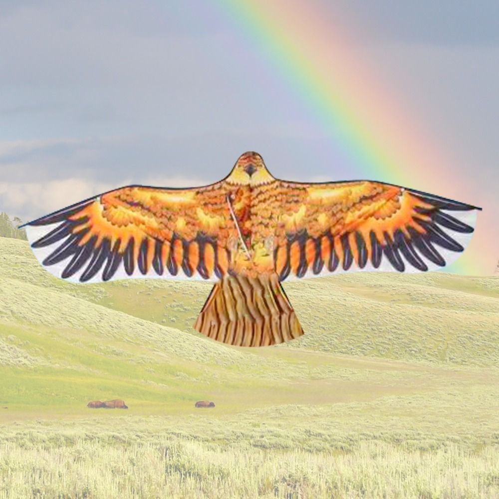 Flat Eagle Kite 1.1m Flying Bi - Kids Outdoor Garden Toys recension och pris